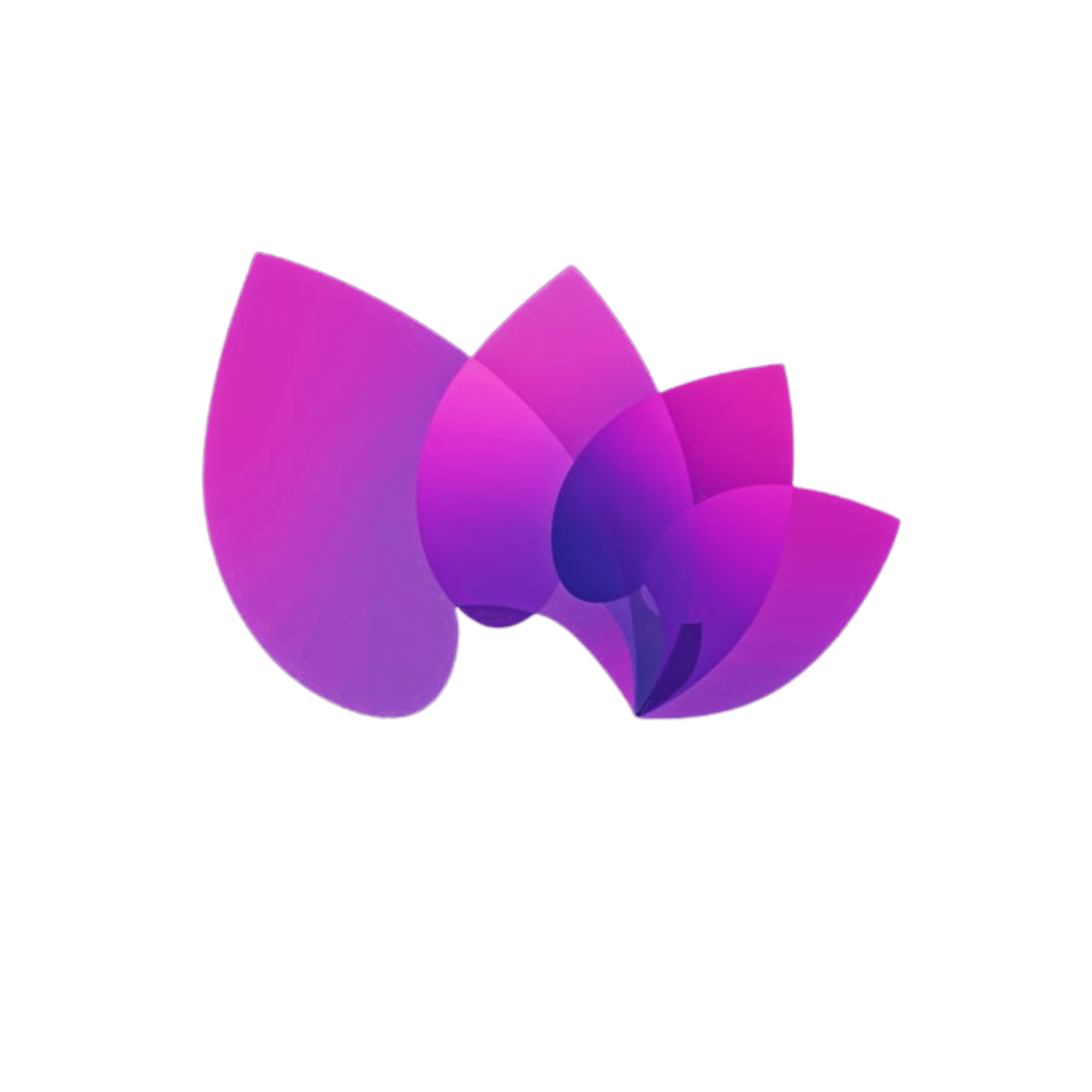 thepetalspreschool.com